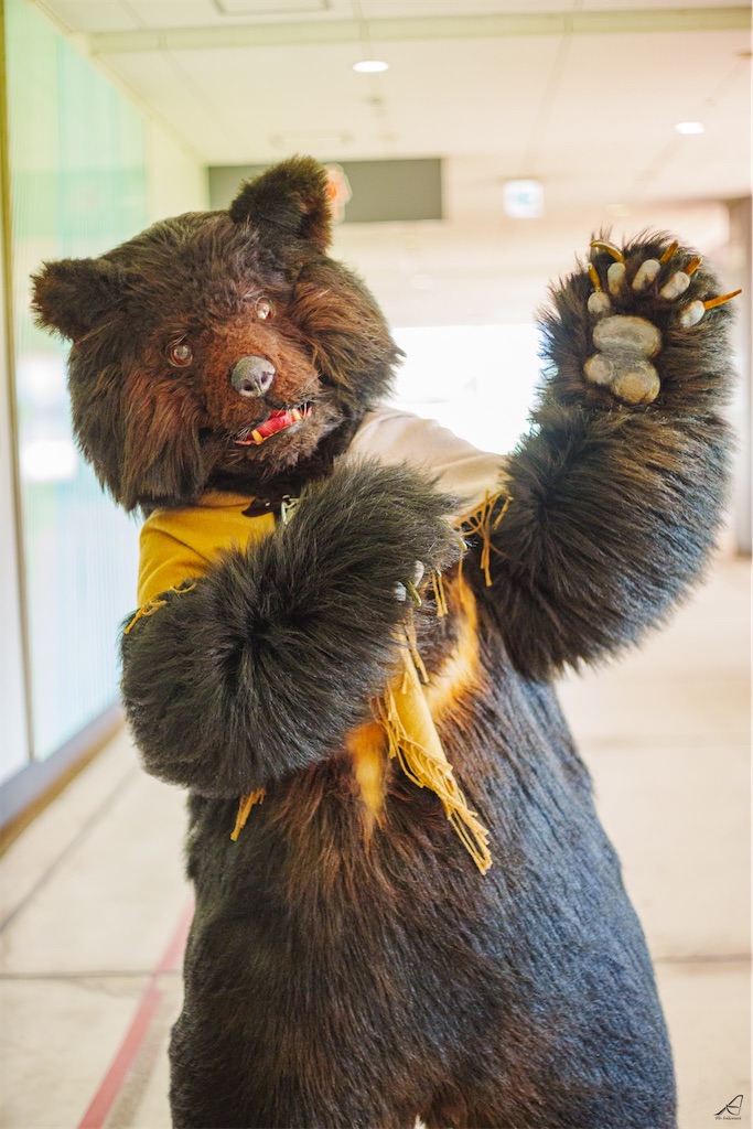 f:id:nui_nuigurumi_ootachi:20241008123957j:image