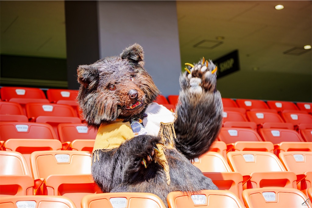 f:id:nui_nuigurumi_ootachi:20241008124001j:image