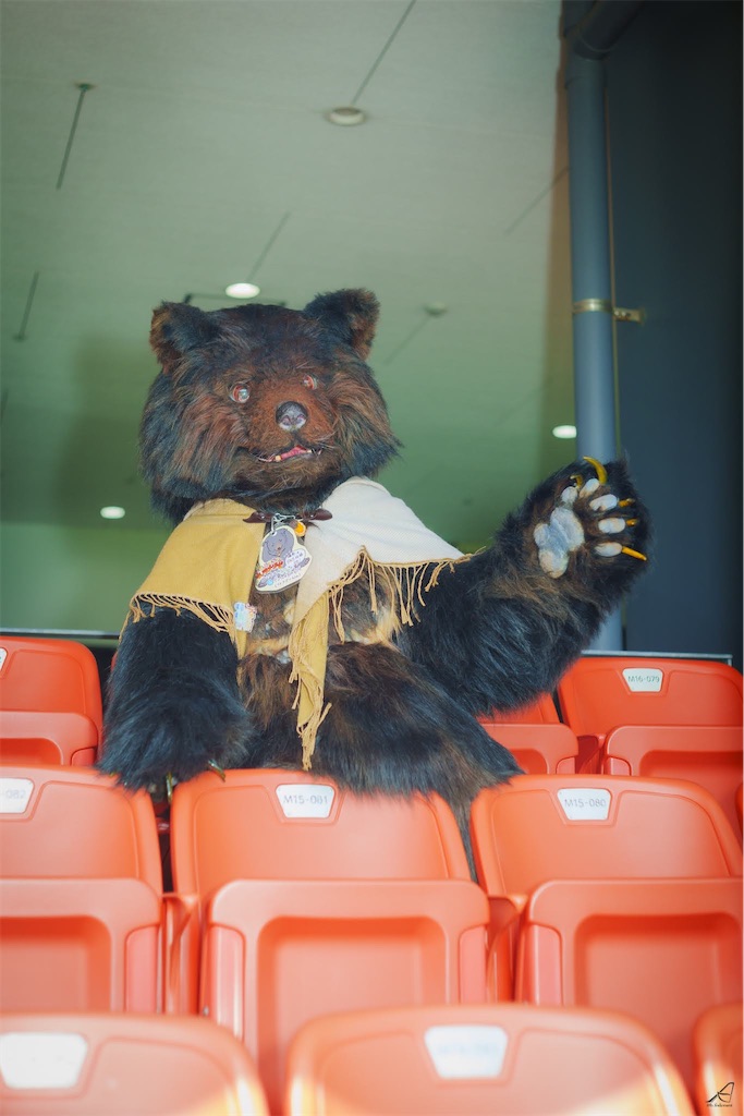 f:id:nui_nuigurumi_ootachi:20241008124016j:image