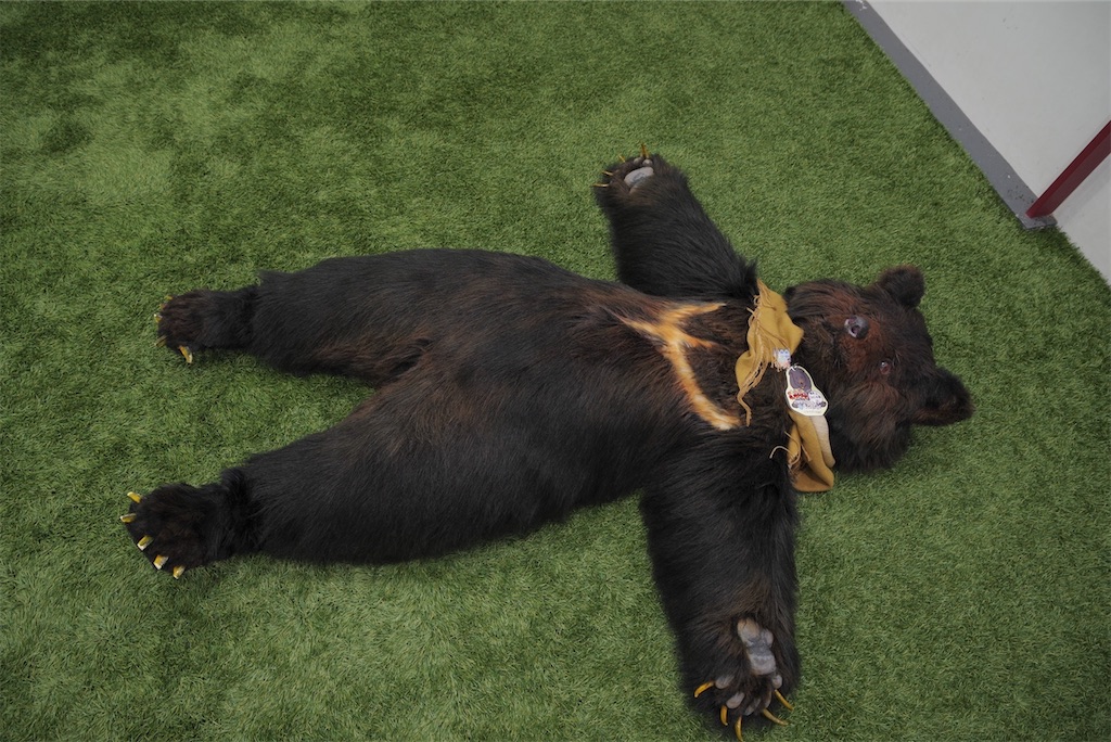 f:id:nui_nuigurumi_ootachi:20241008124020j:image