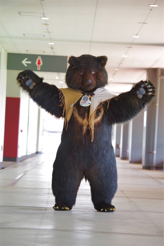 f:id:nui_nuigurumi_ootachi:20241008124026j:image