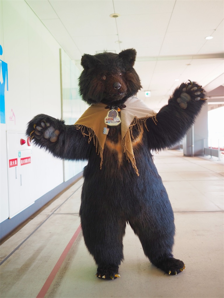 f:id:nui_nuigurumi_ootachi:20241008124058j:image