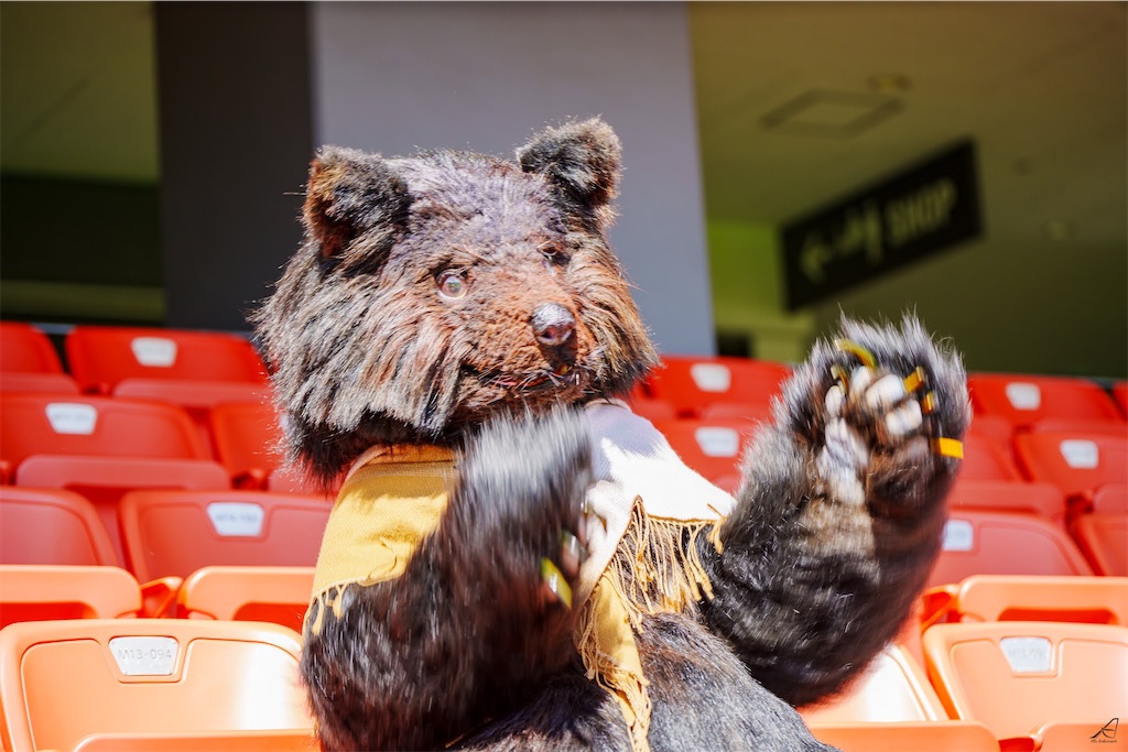 f:id:nui_nuigurumi_ootachi:20241008124119j:image