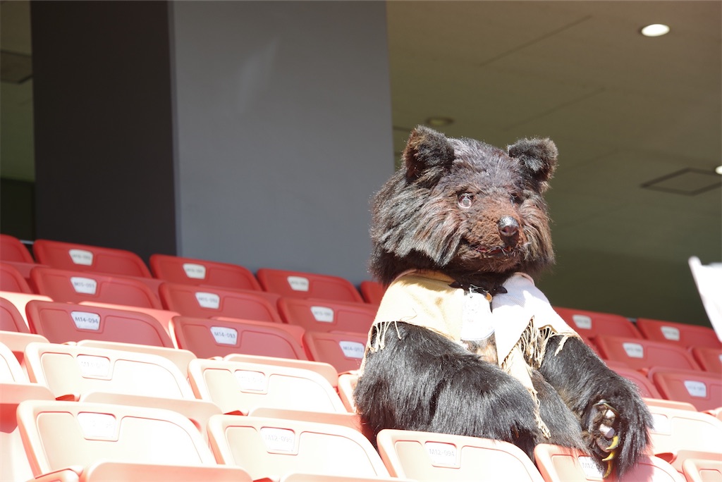 f:id:nui_nuigurumi_ootachi:20241008124126j:image