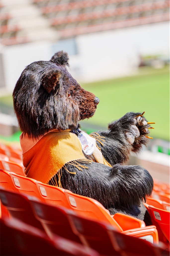 f:id:nui_nuigurumi_ootachi:20241008124130j:image