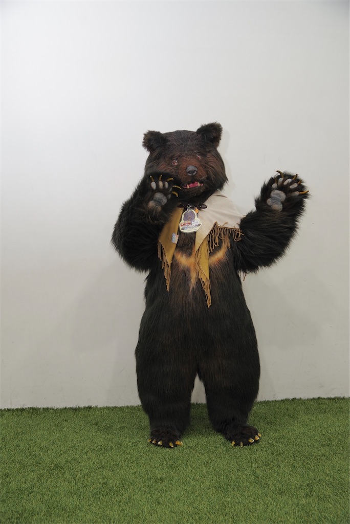 f:id:nui_nuigurumi_ootachi:20241008124141j:image