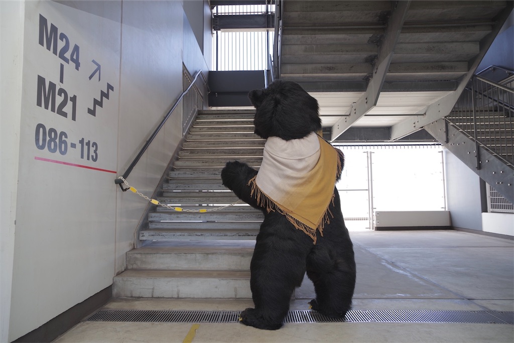 f:id:nui_nuigurumi_ootachi:20241008124144j:image