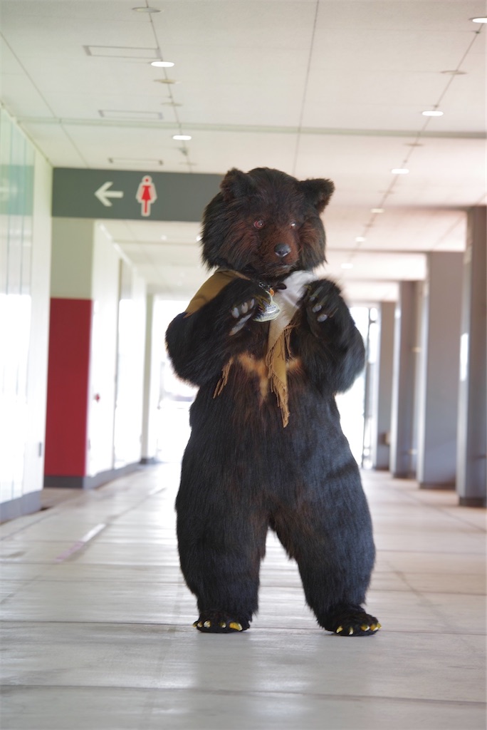 f:id:nui_nuigurumi_ootachi:20241008124148j:image