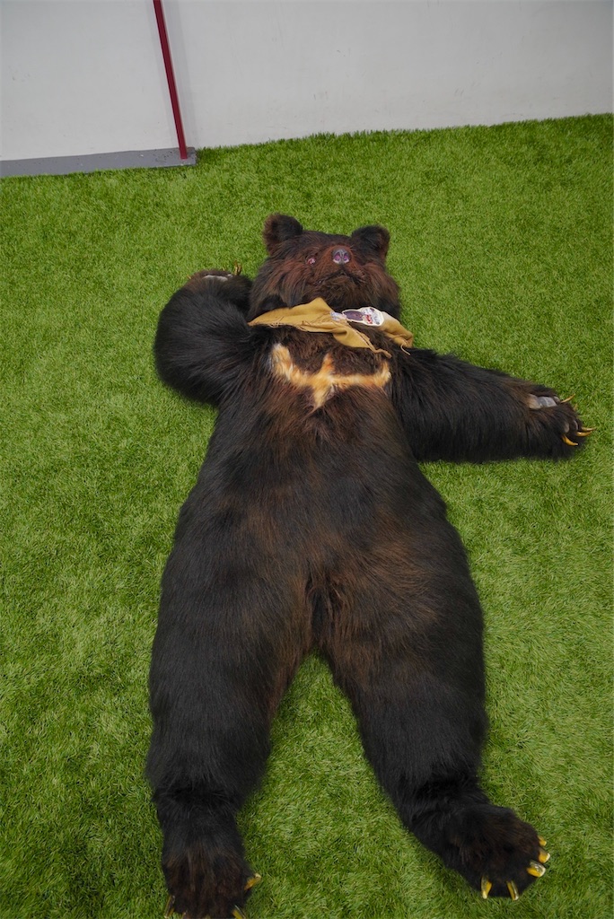 f:id:nui_nuigurumi_ootachi:20241008124155j:image