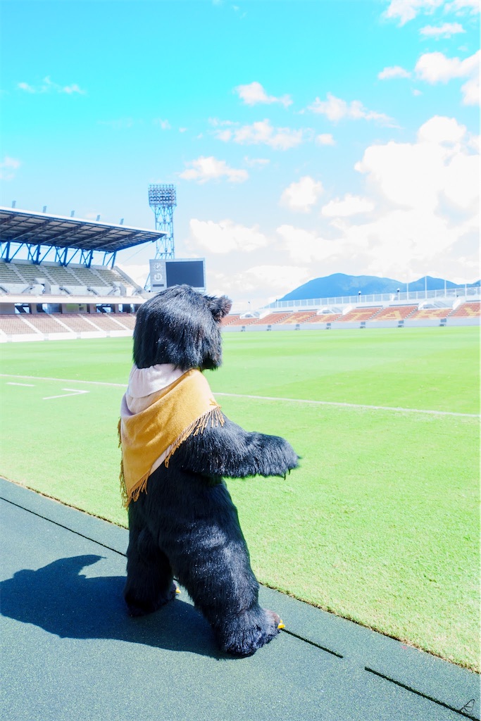 f:id:nui_nuigurumi_ootachi:20241008124203j:image