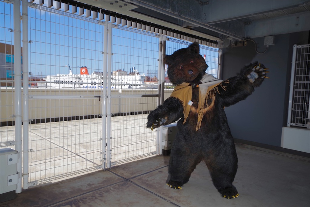 f:id:nui_nuigurumi_ootachi:20241008124209j:image