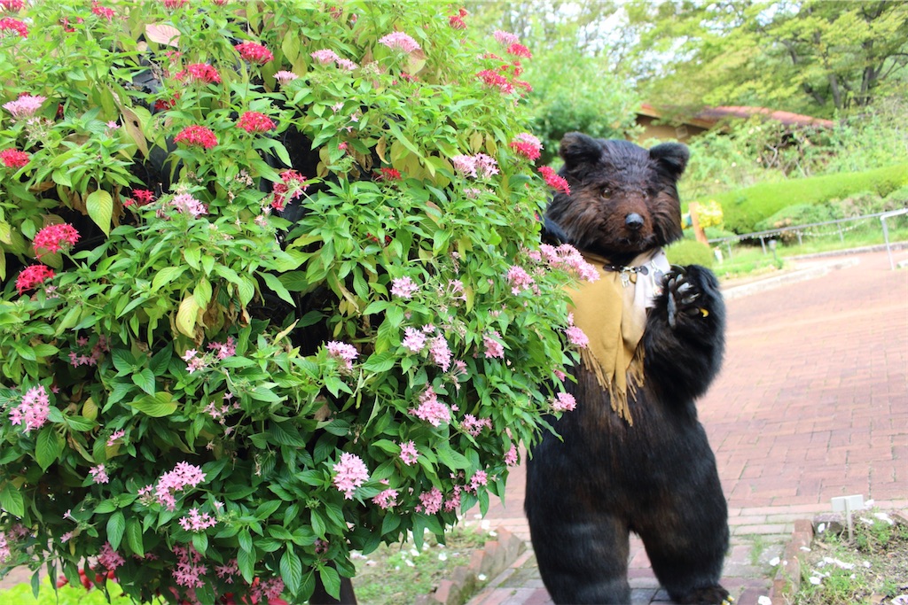 f:id:nui_nuigurumi_ootachi:20241229104323j:image