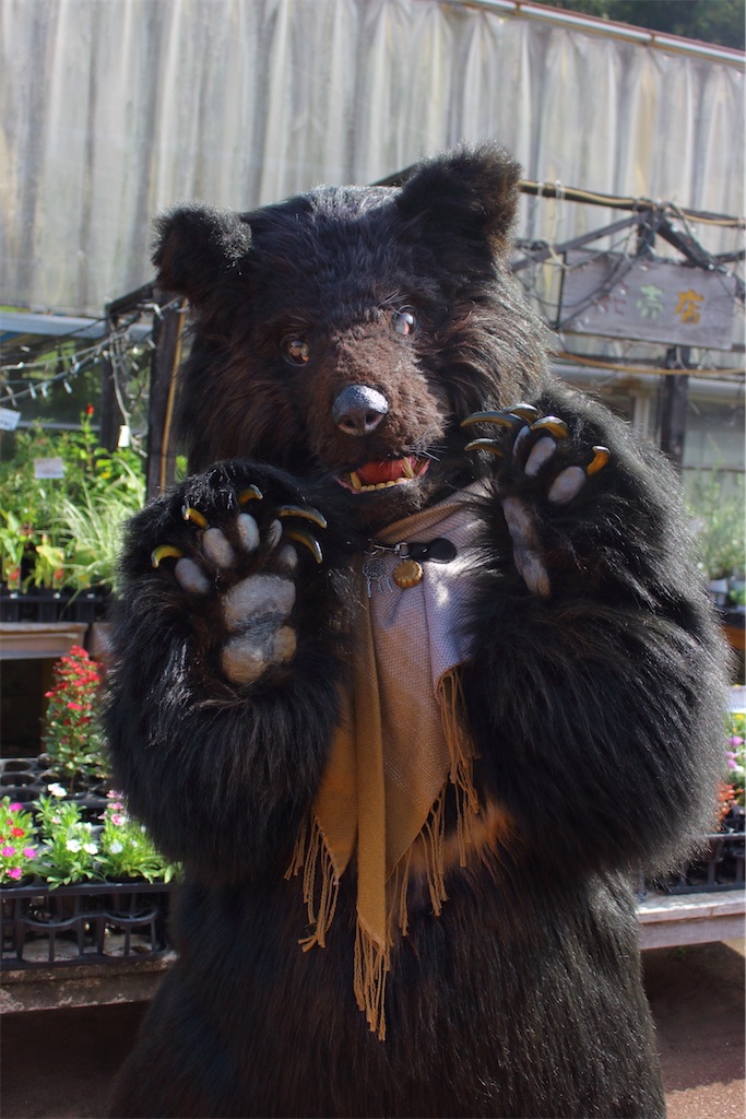 f:id:nui_nuigurumi_ootachi:20241229104329j:image