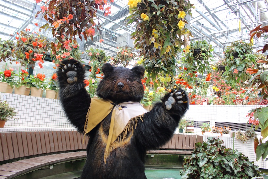 f:id:nui_nuigurumi_ootachi:20241229104420j:image