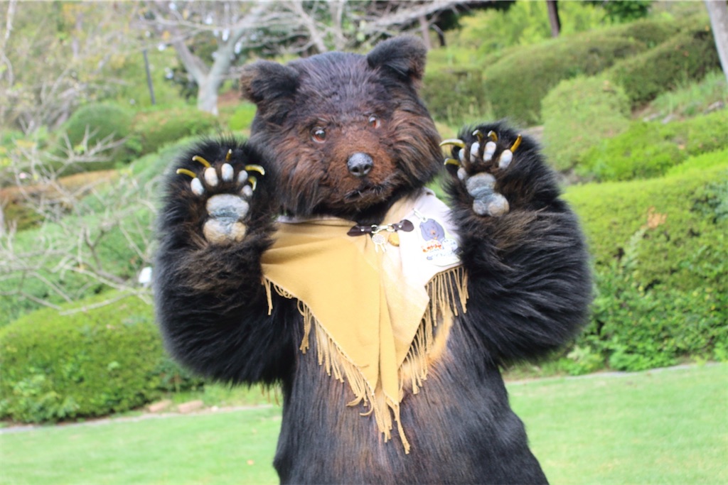 f:id:nui_nuigurumi_ootachi:20241229104426j:image