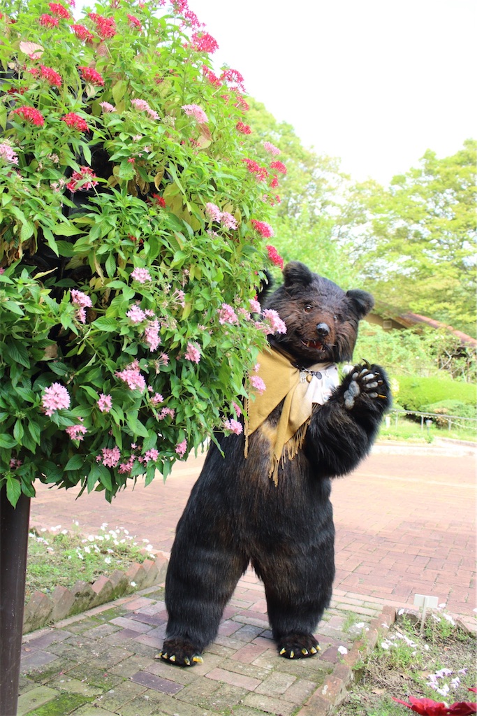 f:id:nui_nuigurumi_ootachi:20241229104432j:image