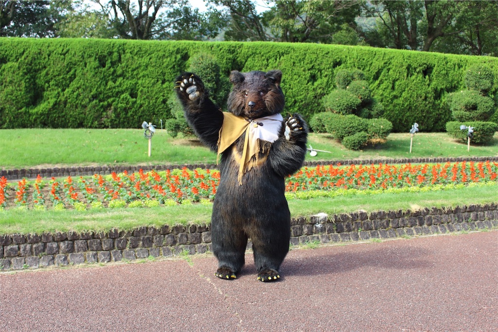 f:id:nui_nuigurumi_ootachi:20241229104458j:image