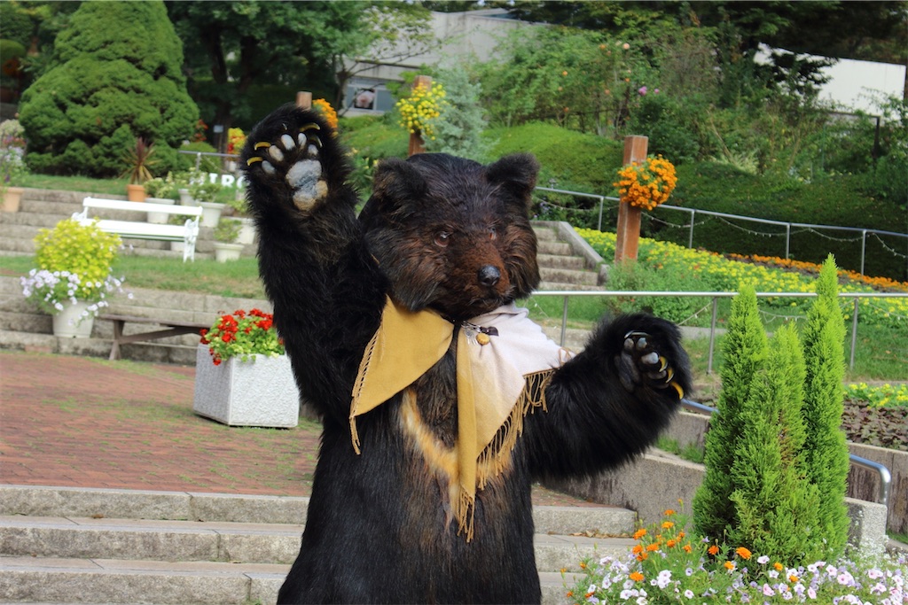 f:id:nui_nuigurumi_ootachi:20241229104530j:image