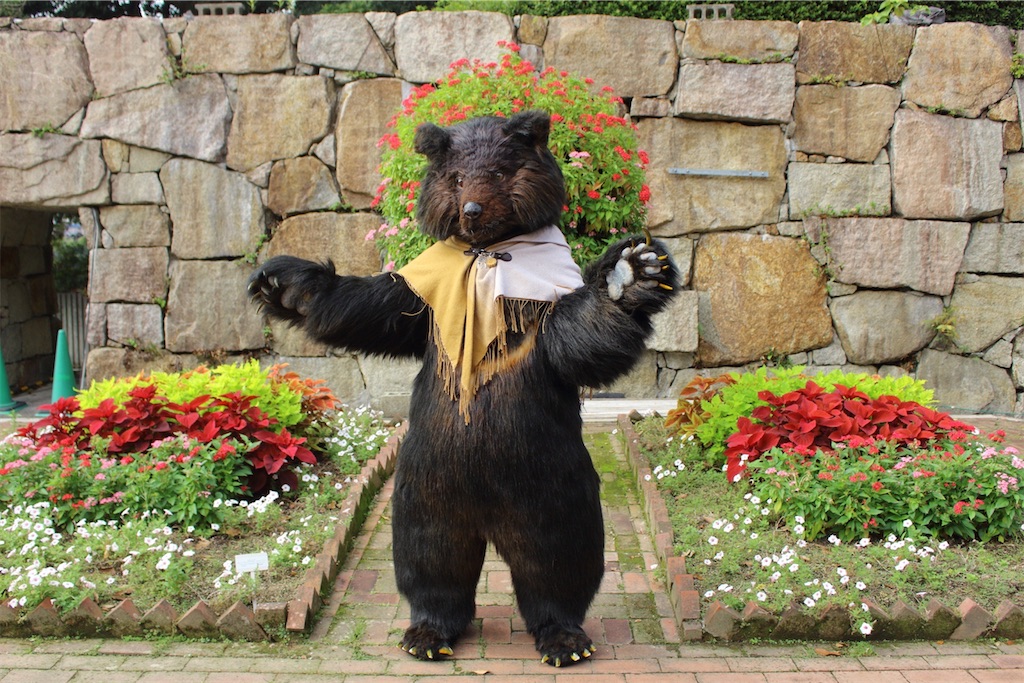 f:id:nui_nuigurumi_ootachi:20241229104625j:image