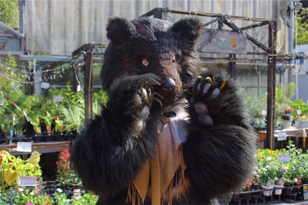 f:id:nui_nuigurumi_ootachi:20241229104638j:image