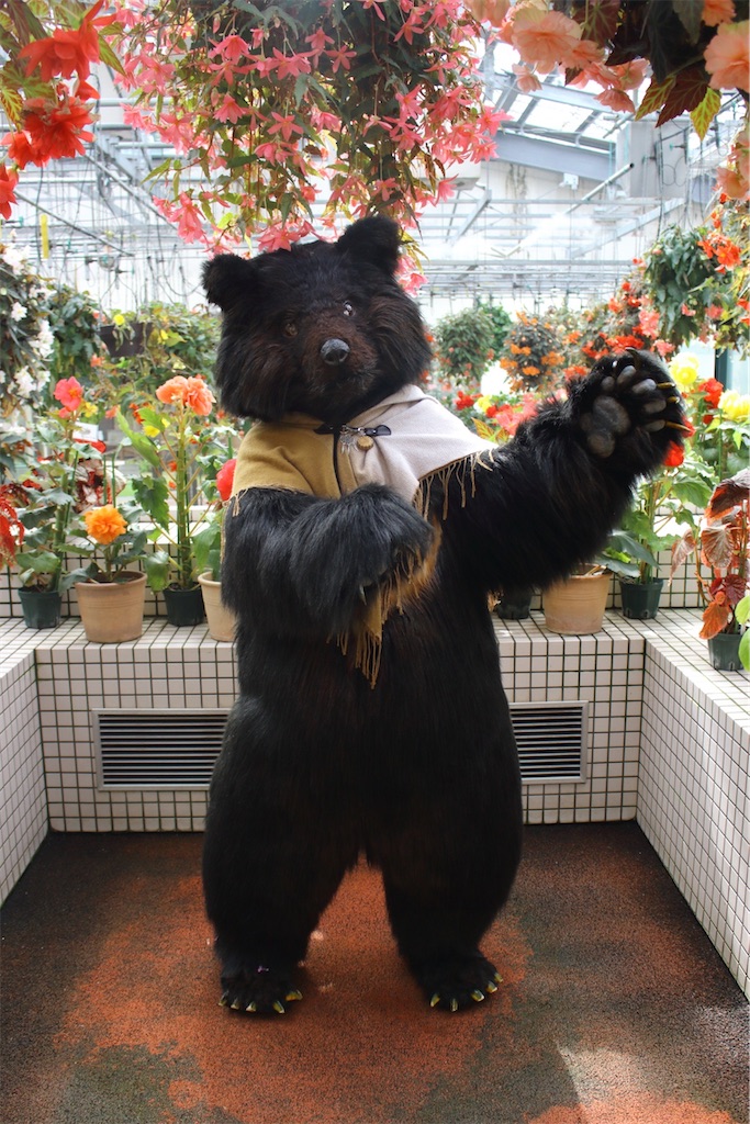 f:id:nui_nuigurumi_ootachi:20241229104709j:image