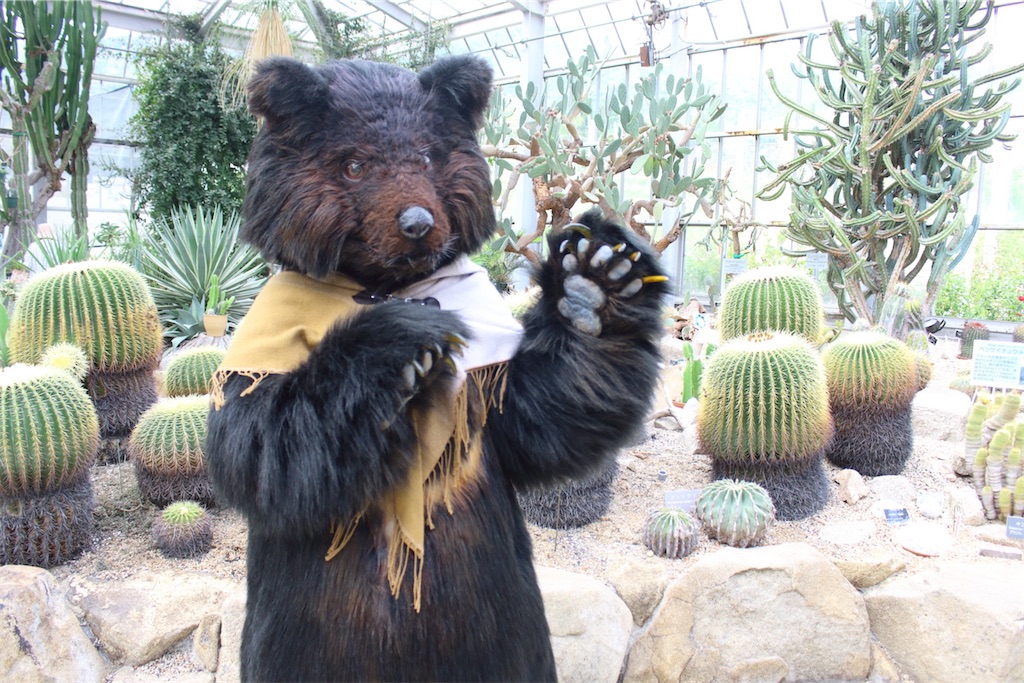 f:id:nui_nuigurumi_ootachi:20241229104733j:image