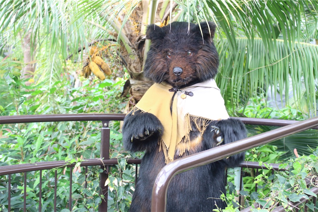 f:id:nui_nuigurumi_ootachi:20241229104820j:image