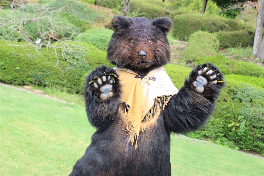 f:id:nui_nuigurumi_ootachi:20241229104826j:image