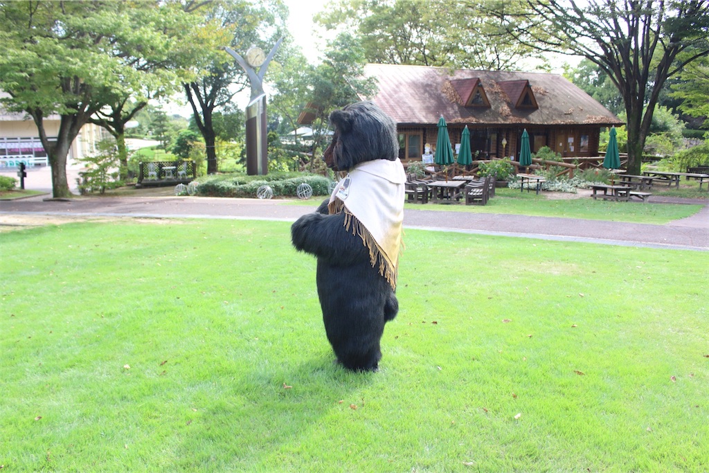 f:id:nui_nuigurumi_ootachi:20241229104840j:image