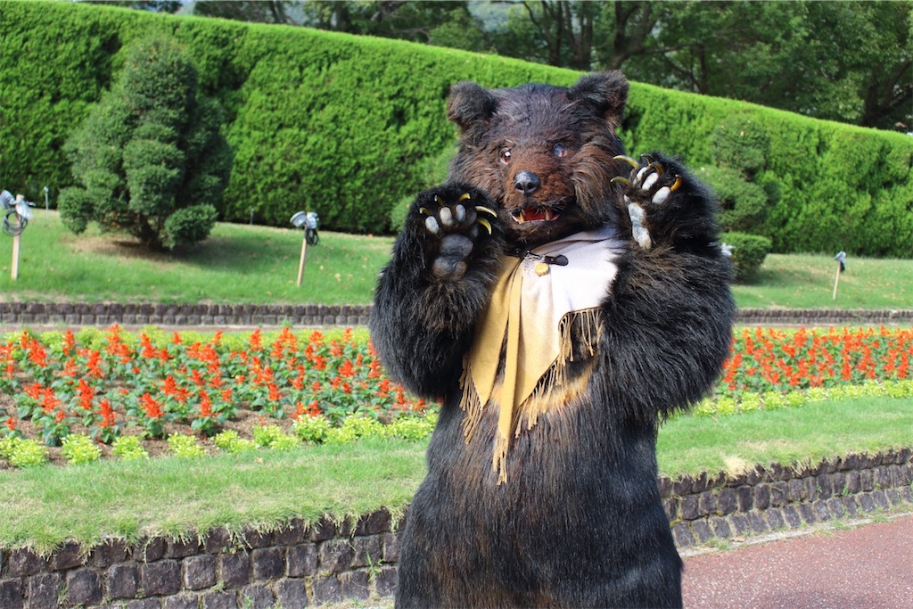 f:id:nui_nuigurumi_ootachi:20241229113746j:image