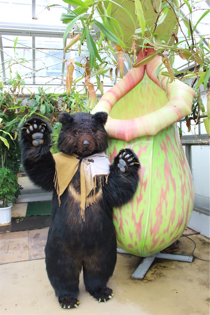 f:id:nui_nuigurumi_ootachi:20241229115148j:image