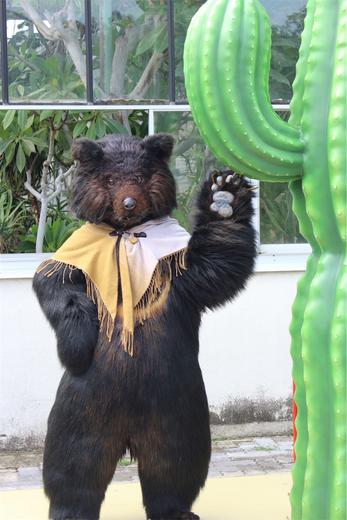 f:id:nui_nuigurumi_ootachi:20241229115205j:image