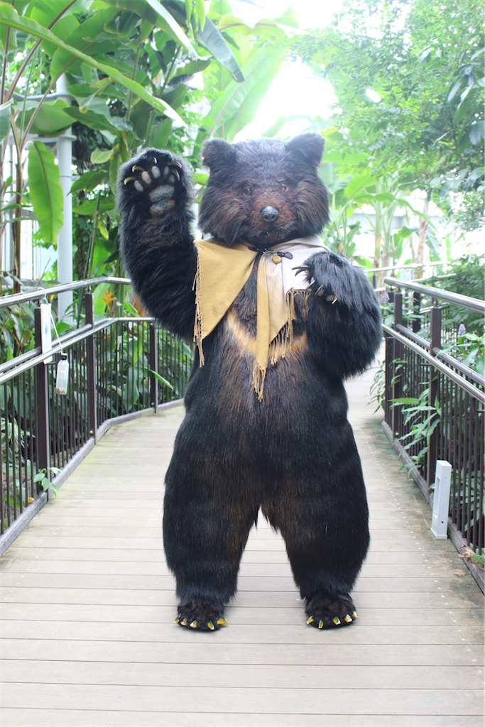 f:id:nui_nuigurumi_ootachi:20241229115406j:image