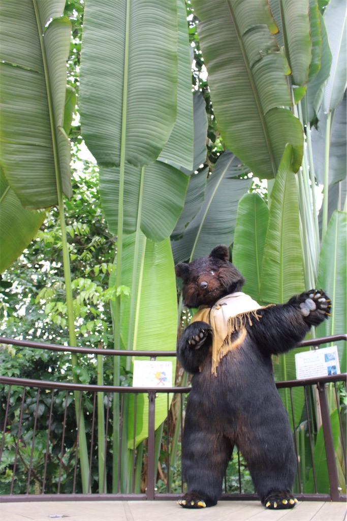 f:id:nui_nuigurumi_ootachi:20241229115501j:image