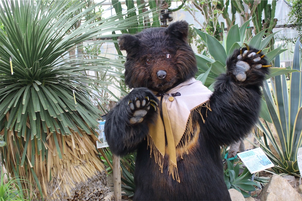 f:id:nui_nuigurumi_ootachi:20241229115541j:image