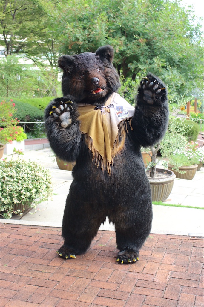 f:id:nui_nuigurumi_ootachi:20241229115858j:image