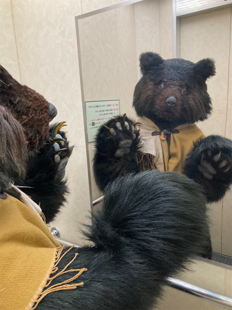 f:id:nui_nuigurumi_ootachi:20241229130834j:image