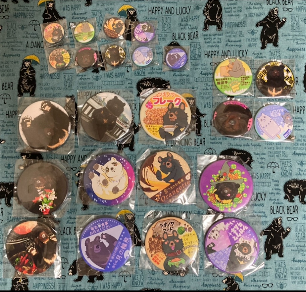 f:id:nui_nuigurumi_ootachi:20241229131321j:image