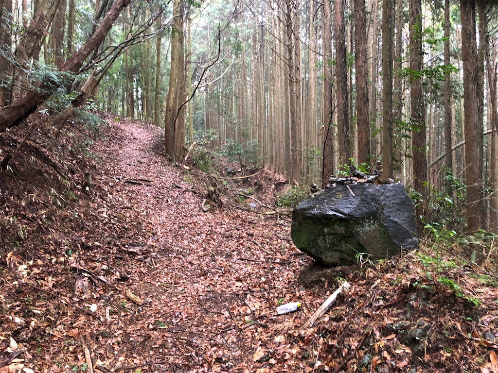 f:id:nuichi:20190403172810j:image f:id:nuichi:20190403172810j:image