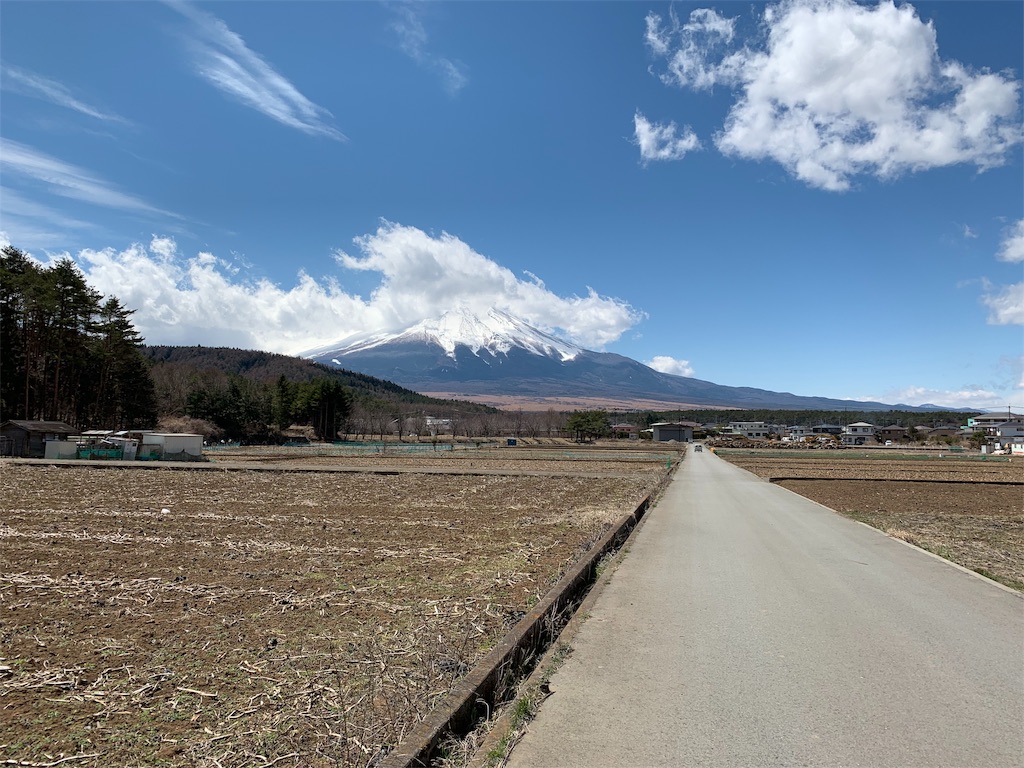 f:id:nuichi:20190403223104j:image f:id:nuichi:20190403223104j:image