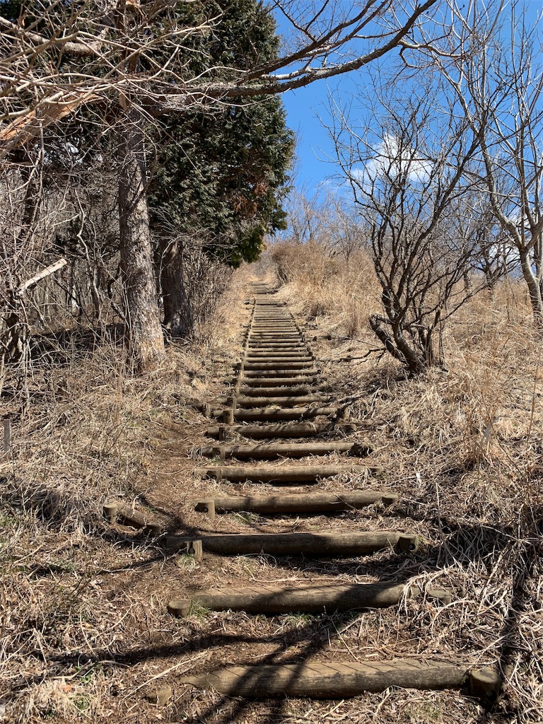 f:id:nuichi:20190403223308j:image f:id:nuichi:20190403223308j:image
