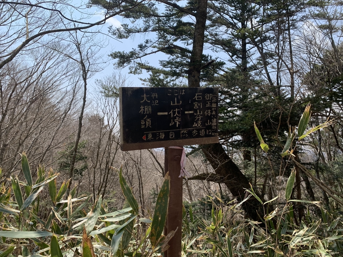 f:id:nuichi:20190408184849j:plain