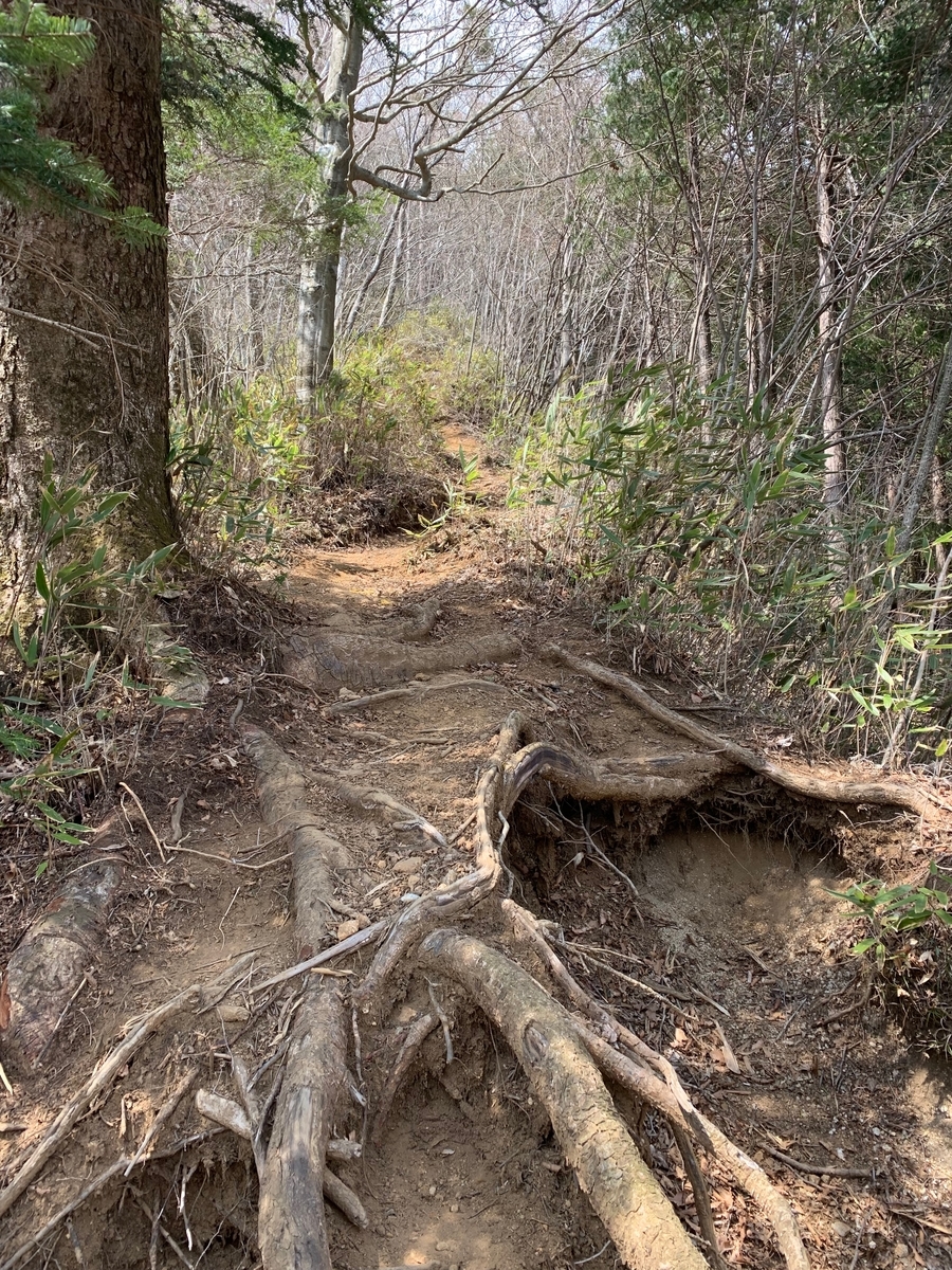 f:id:nuichi:20190408185037j:plain