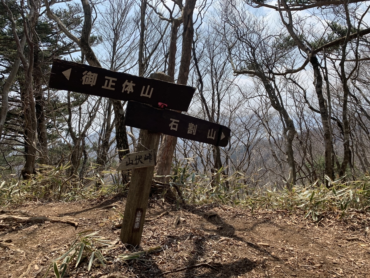 f:id:nuichi:20190408185117j:plain