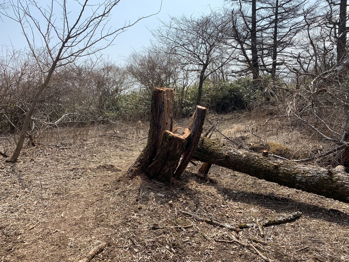 f:id:nuichi:20190408185231j:plain