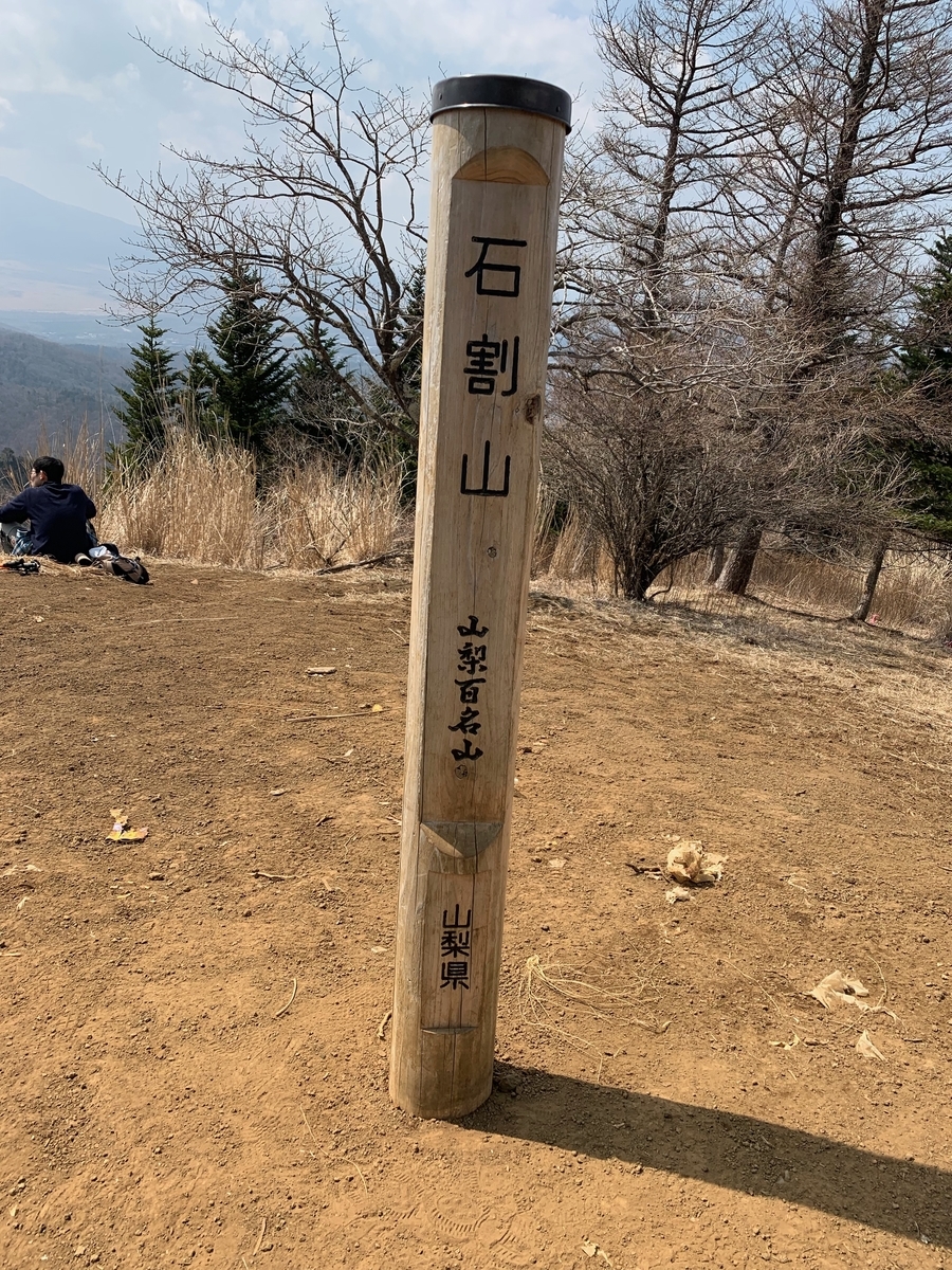 f:id:nuichi:20190408185507j:plain