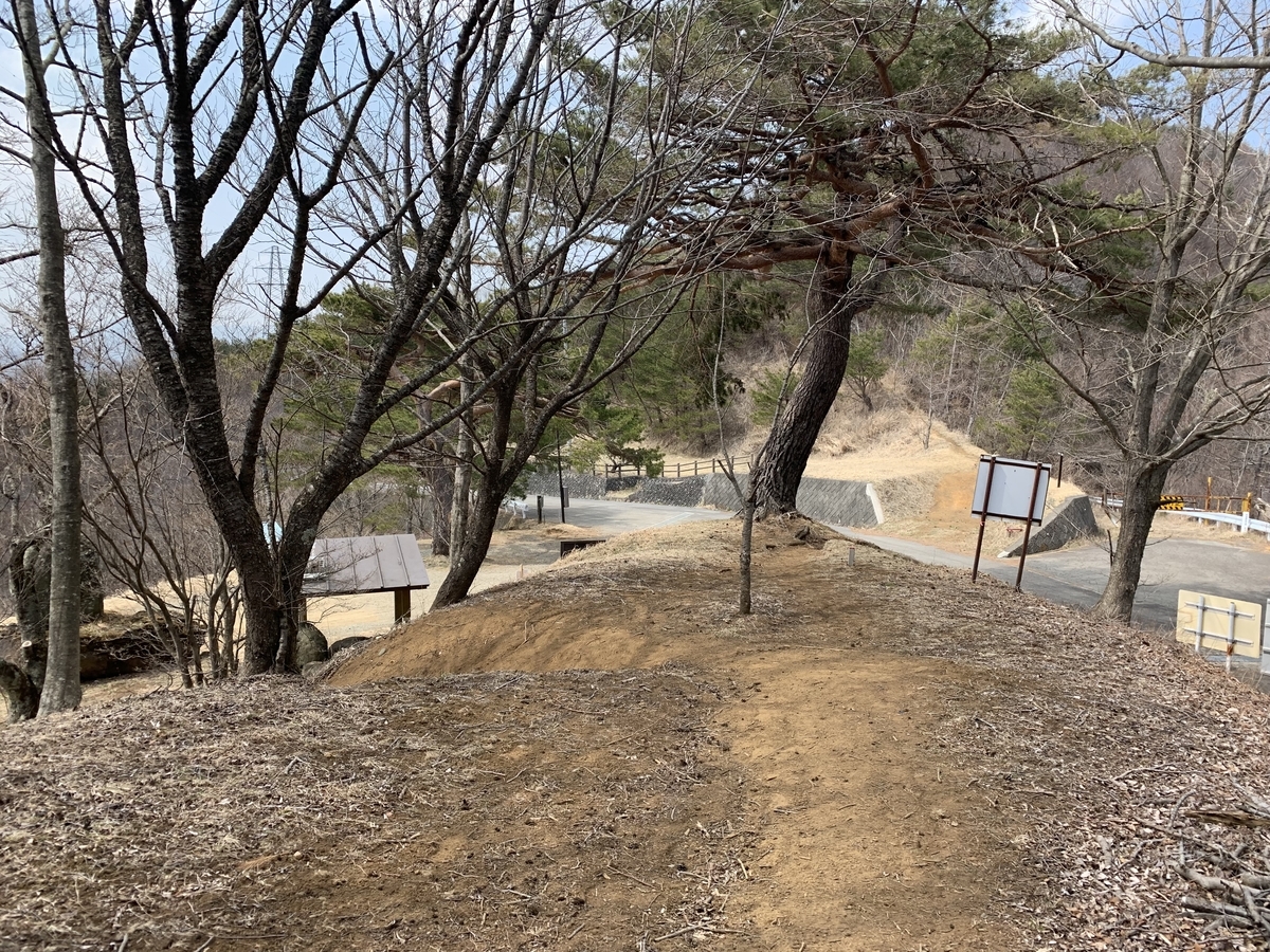 f:id:nuichi:20190408190107j:plain