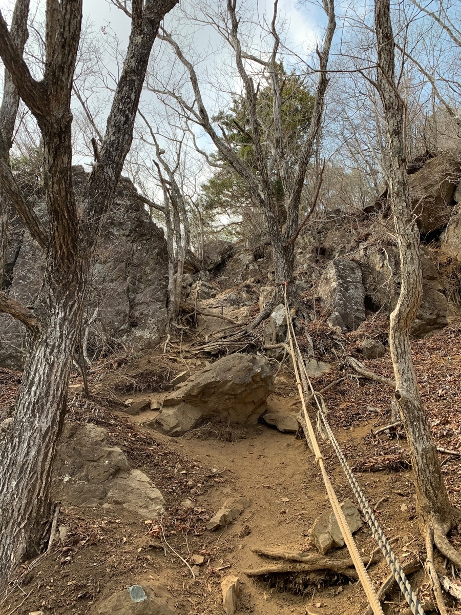 f:id:nuichi:20190409104111j:plain
