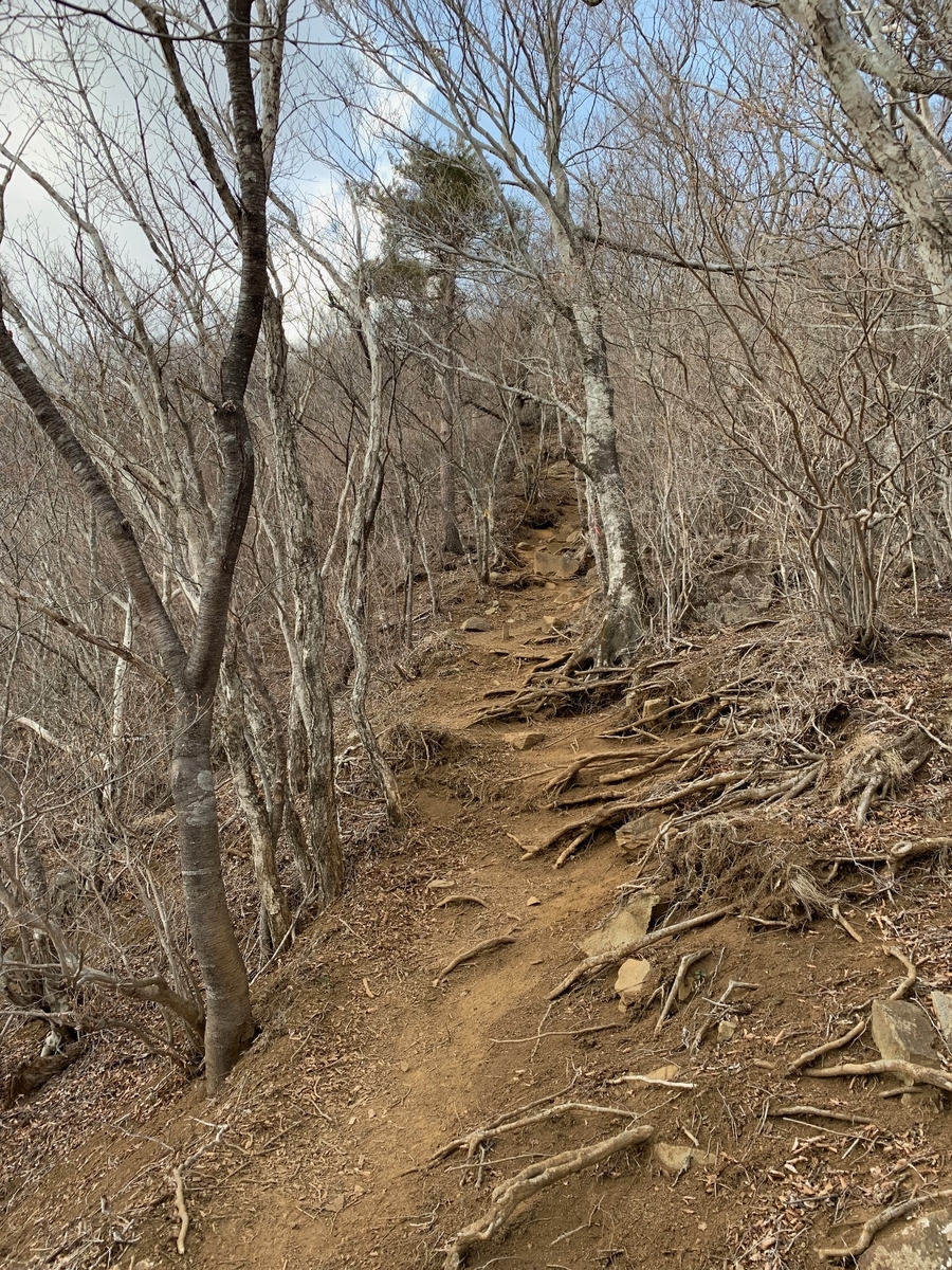 f:id:nuichi:20190409104224j:plain