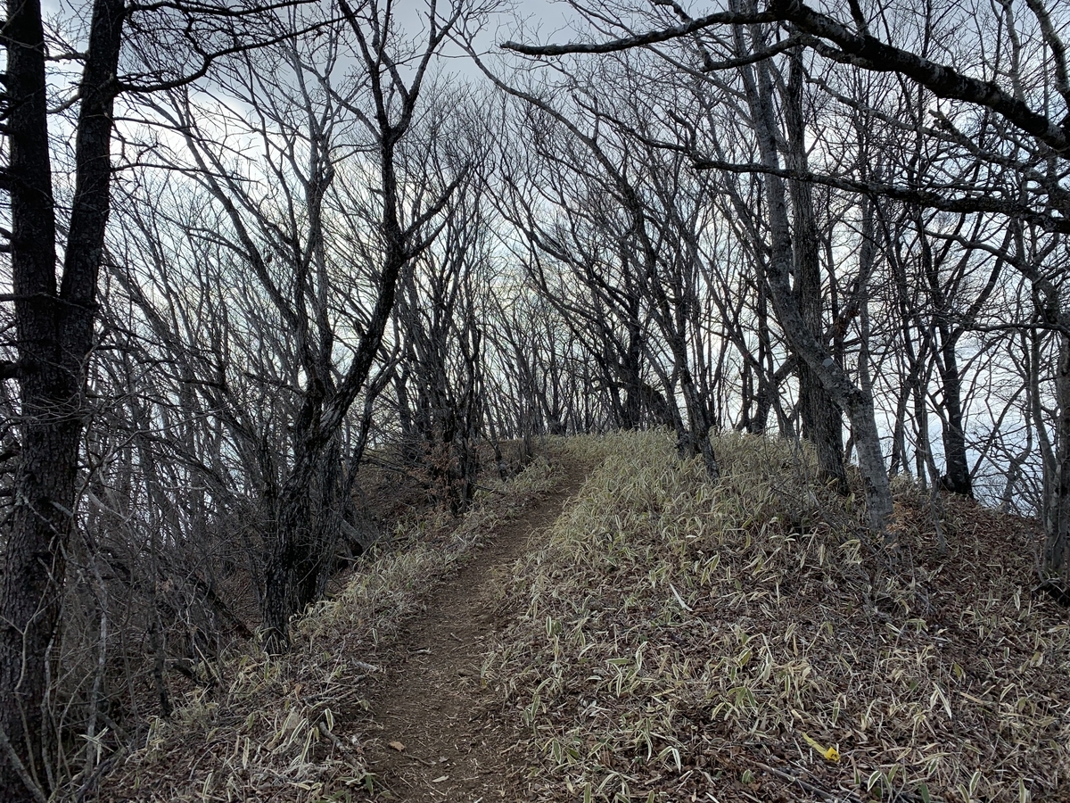 f:id:nuichi:20190409104317j:plain